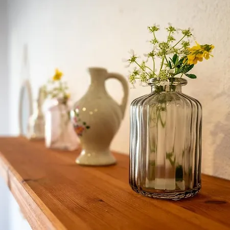 Olive House Rezo